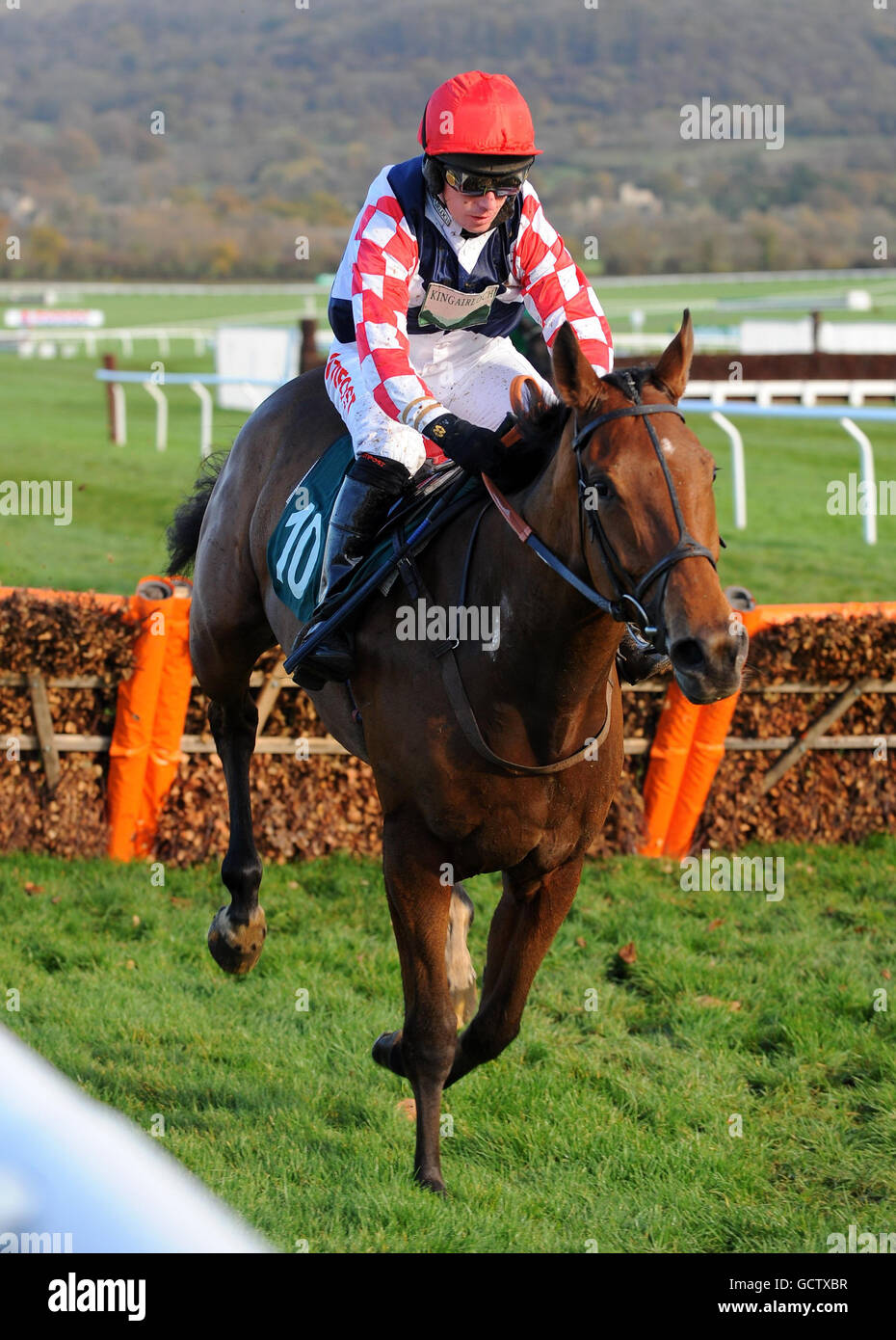 Horse racing paddy power gold cup day cheltenham racecourse hires