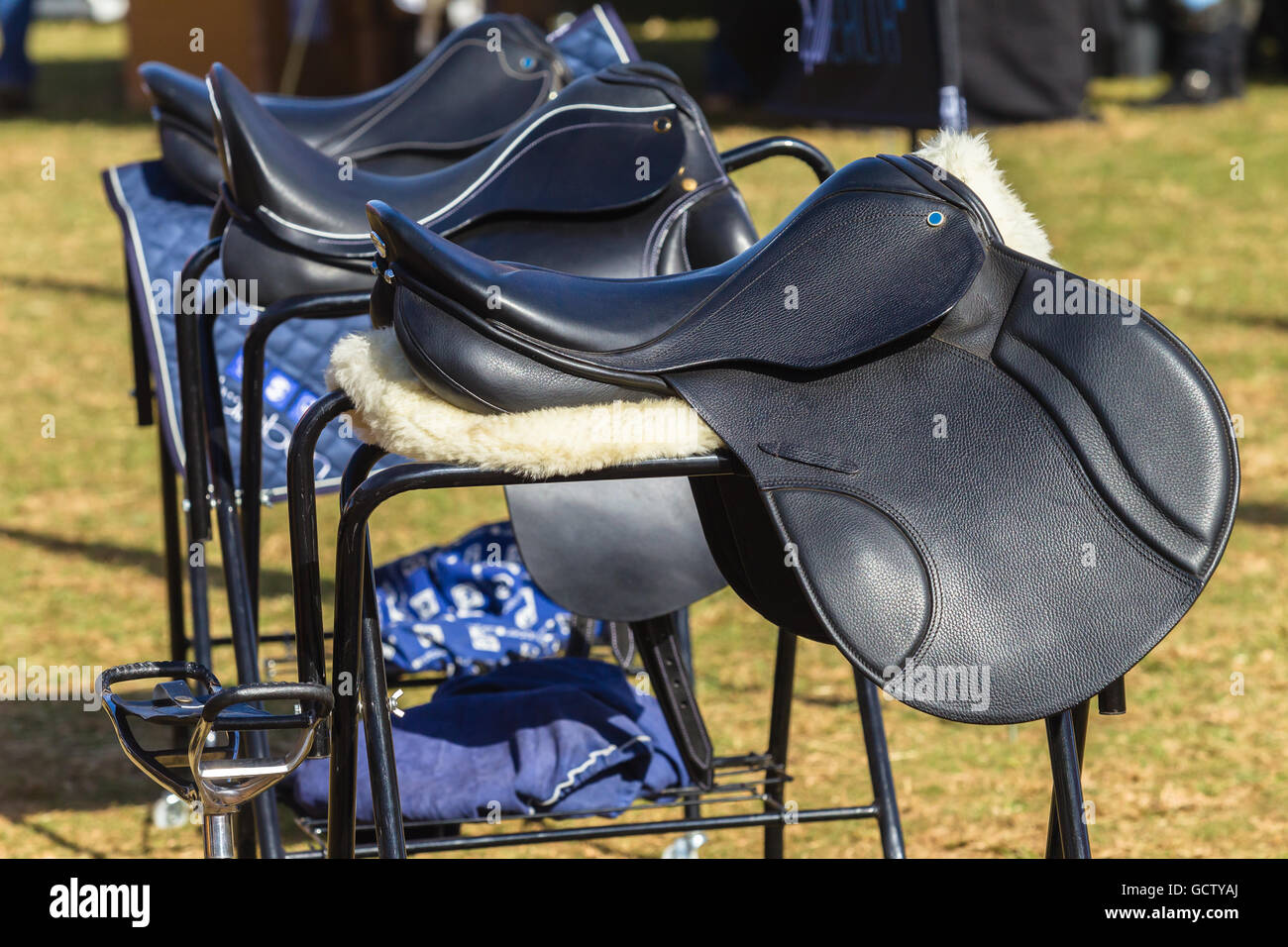 Saddles new equestrian equipment for rider clients Stock Photo Alamy