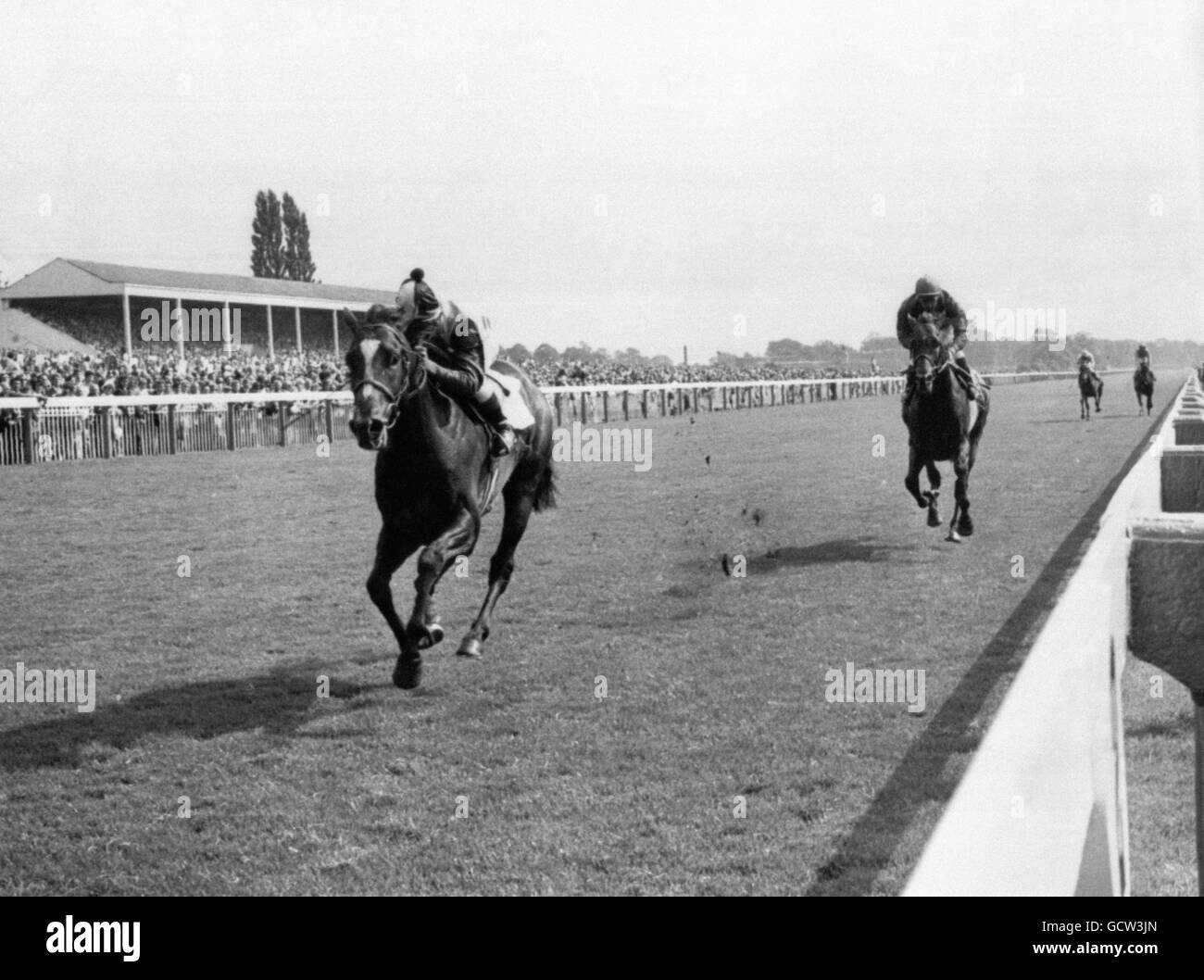 York racecourse Black and White Stock Photos & Images - Alamy