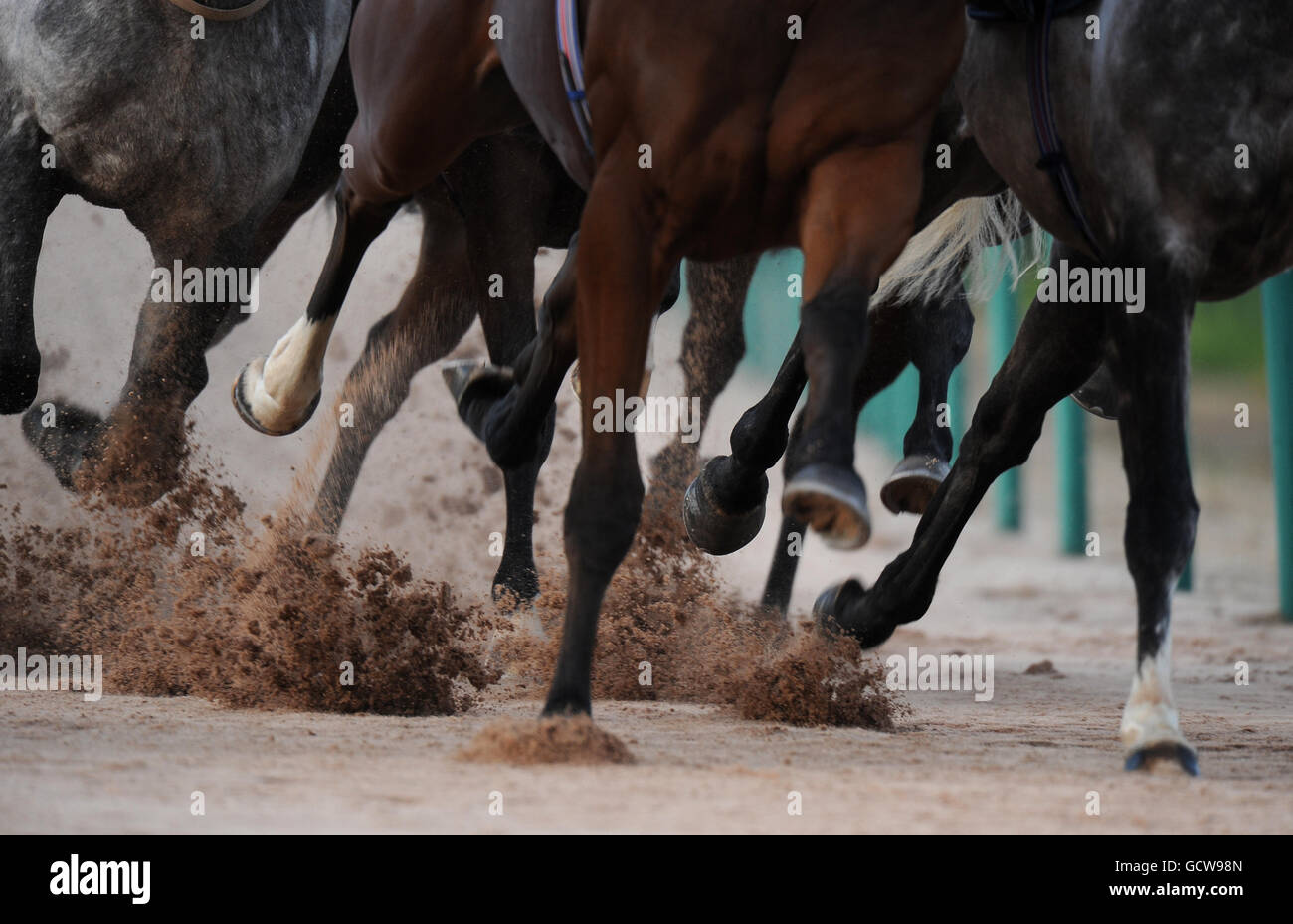 Horse Racing - Southwell Racecourse. Horses hooves on the all weather track Stock Photo