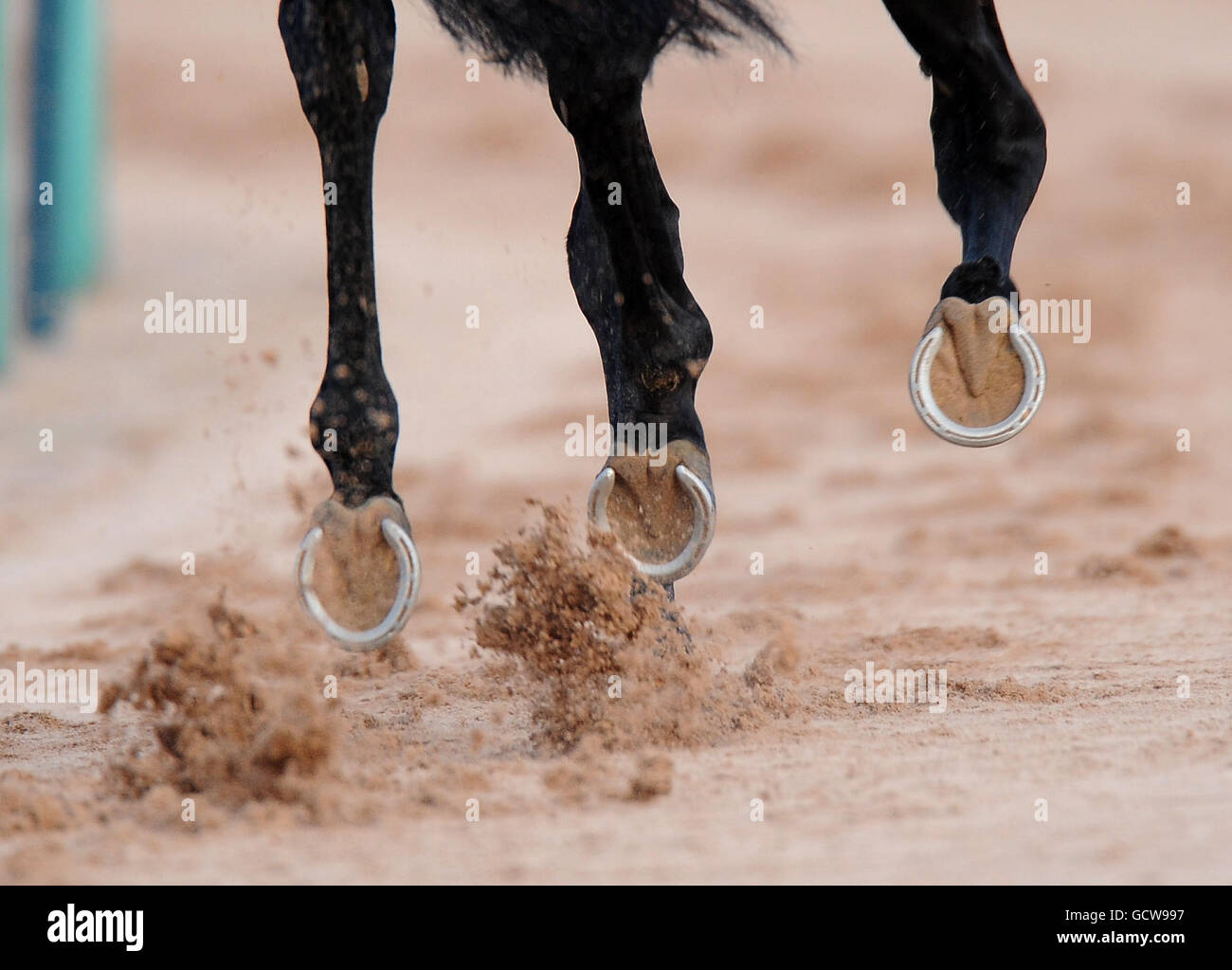Horse Racing - Southwell Racecourse. Horses hooves on all weather track Stock Photo