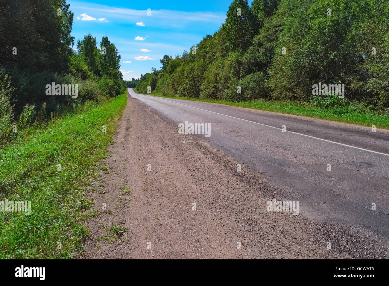 Empty highway through the trees, bushes and grass Stock Photo