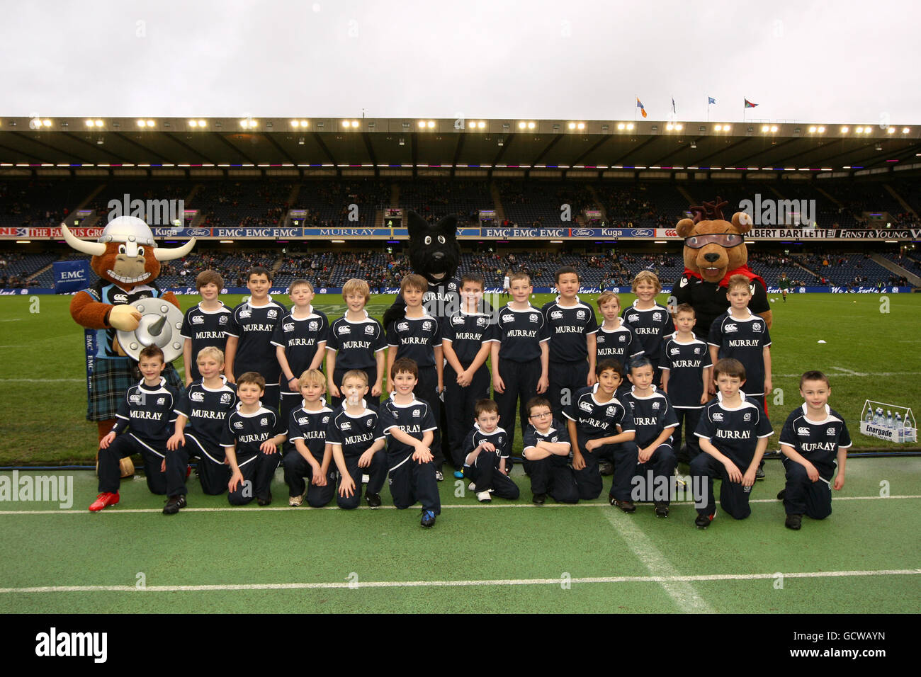 Glasgow warriors mascot clyde the highland cow hi-res stock photography ...