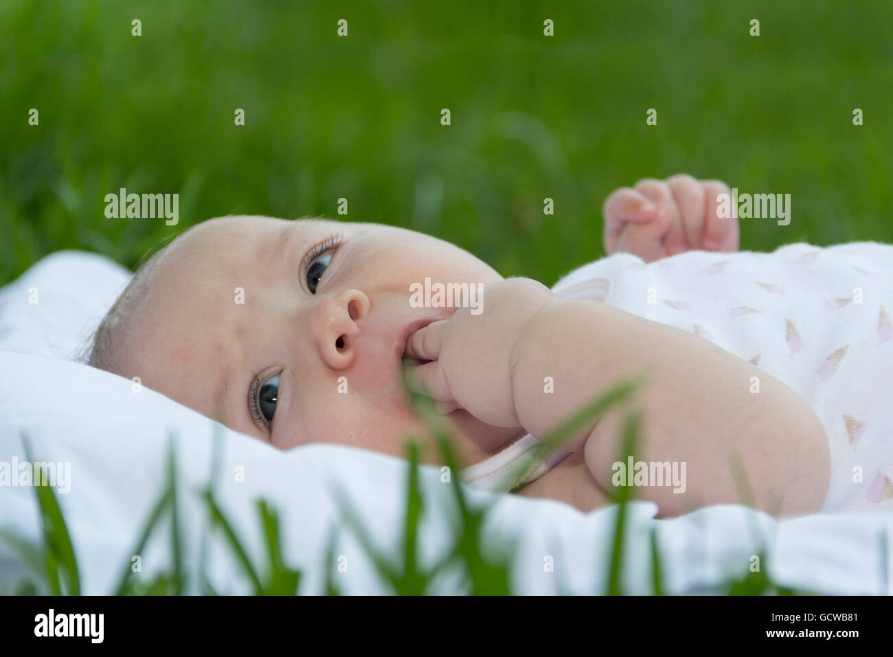 newborn baby lies on grass in park with hand in mouth Stock Photo