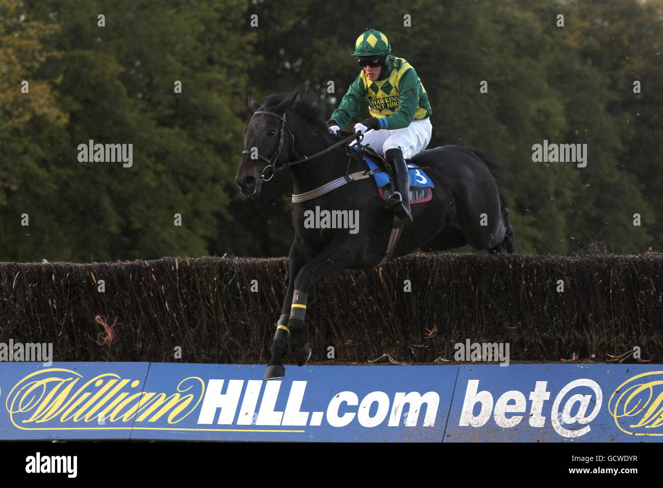 Fred rimell hi-res stock photography and images - Alamy