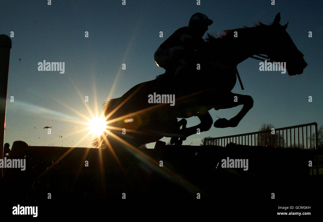Horse Racing - First November Meeting - Leicester Racecourse Stock Photo