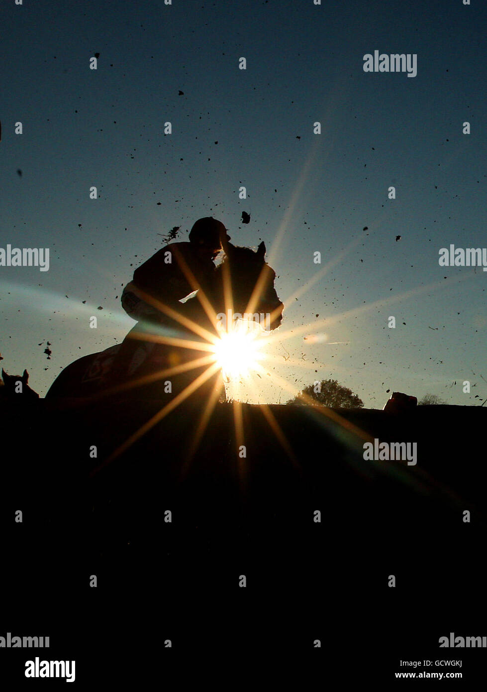 Horse Racing - First November Meeting - Leicester Racecourse Stock Photo