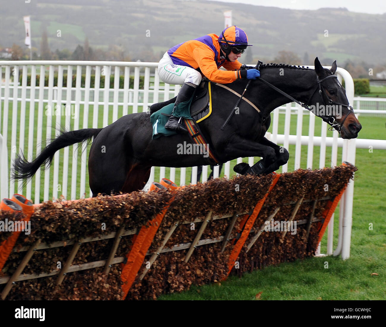 Horse Racing - Countryside Day - Cheltenham Racecourse Stock Photo - Alamy