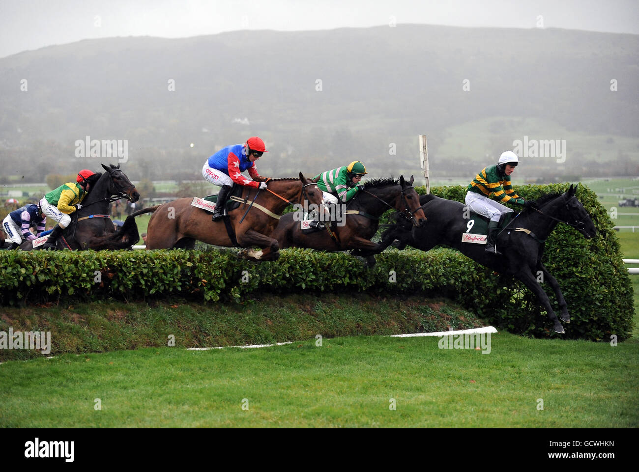 Horse racing countryside day cheltenham racecourse hi-res stock ...