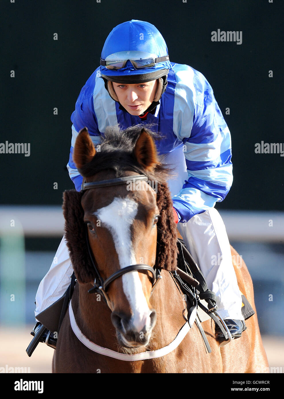 Jockey kirsty milczarek hires stock photography and images Alamy