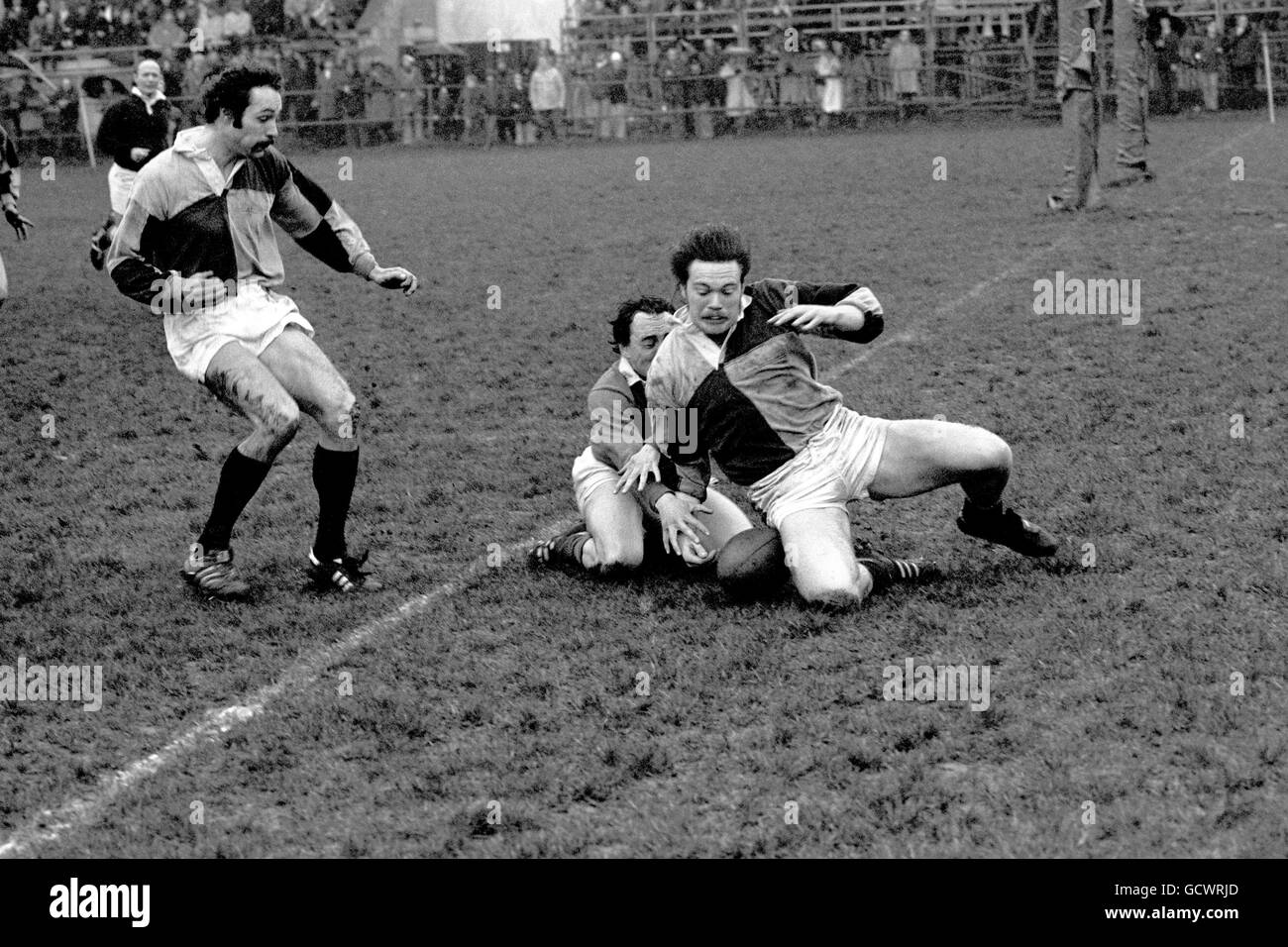 Rugby Union - London Welsh v Harlequins - Old Deer Park Stock Photo