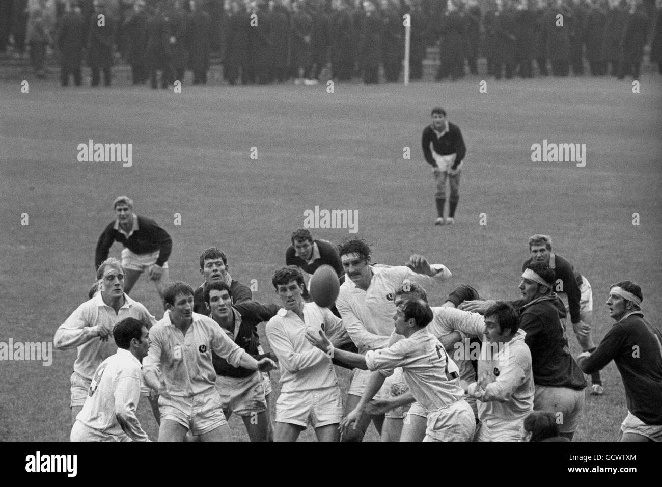 South africa rugby 1969 hires stock photography and images Alamy