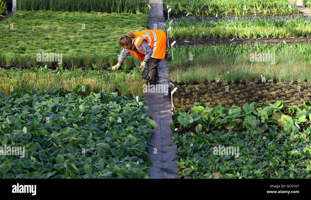 Olympic park london 2012 hires stock photography and images Alamy