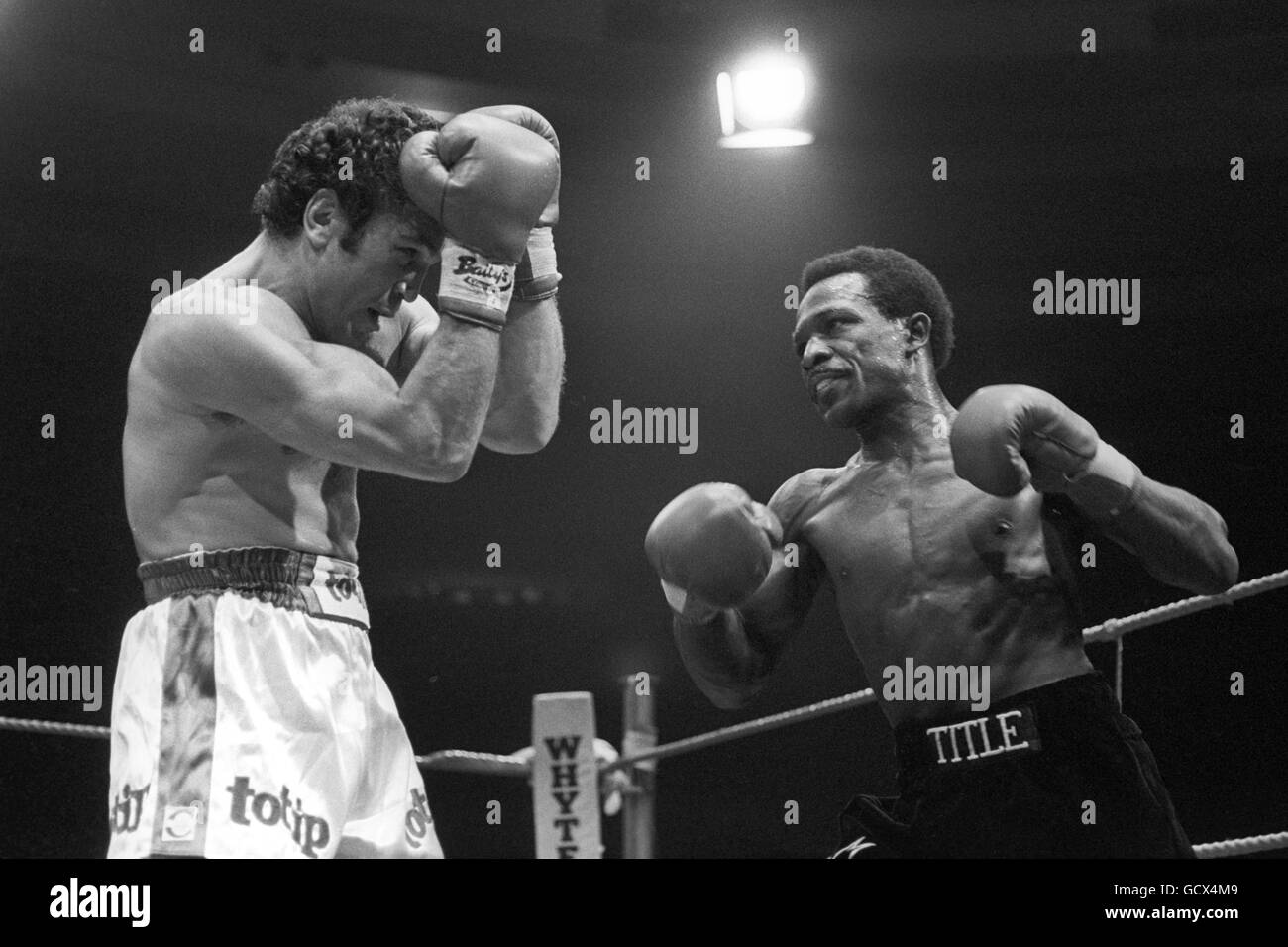 Boxing - WBC Light Middleweight Title - Maurice Hope v Rocky Mattioli - Conference Centre, Wembley Stock Photo