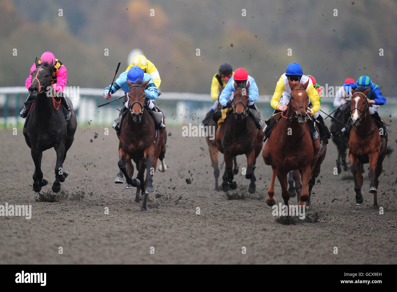 Horse Racing - Lingfield Park Racecourse. Fastest Magician ridden by ...