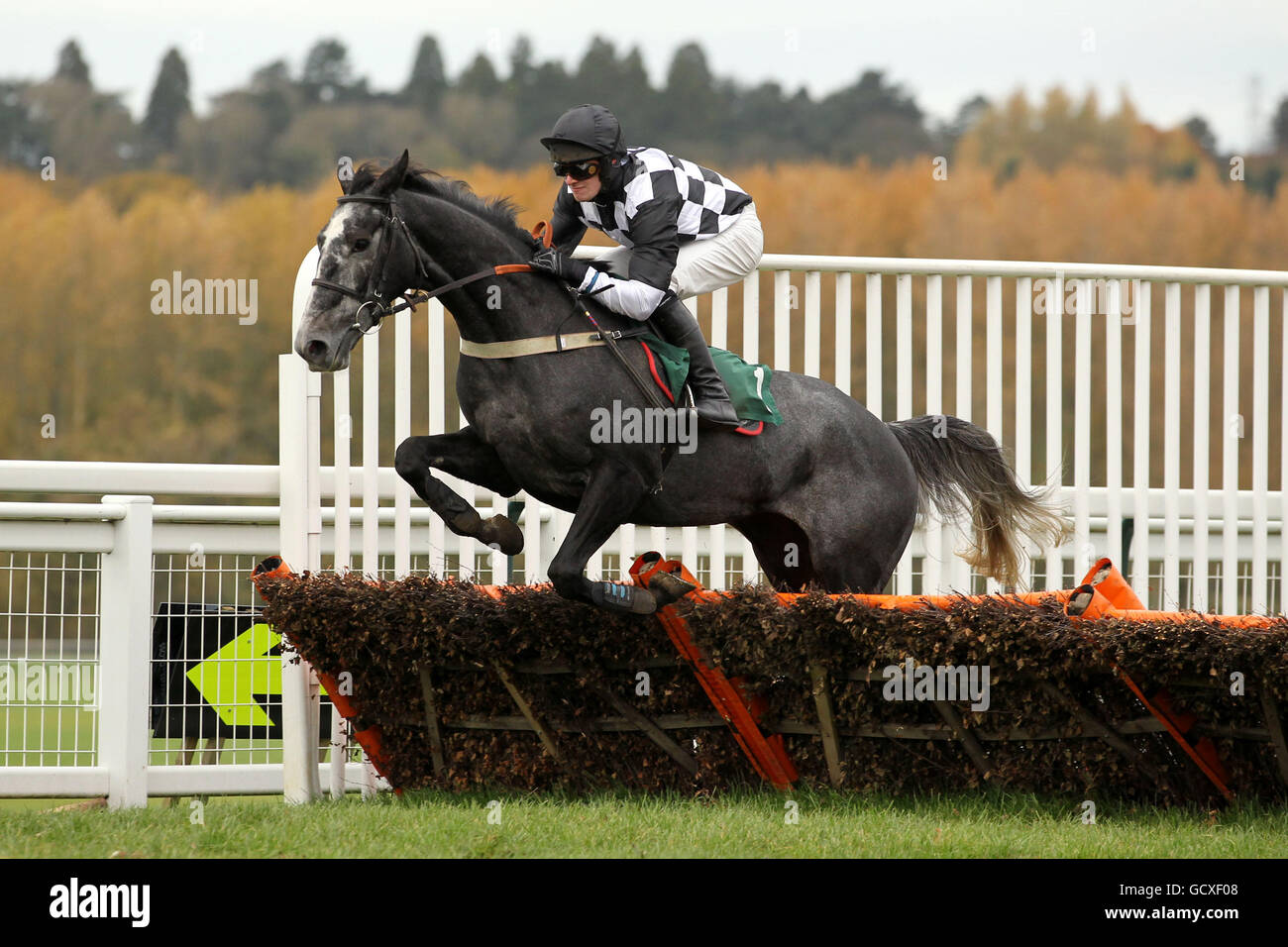 Towcester horses hires stock photography and images Alamy