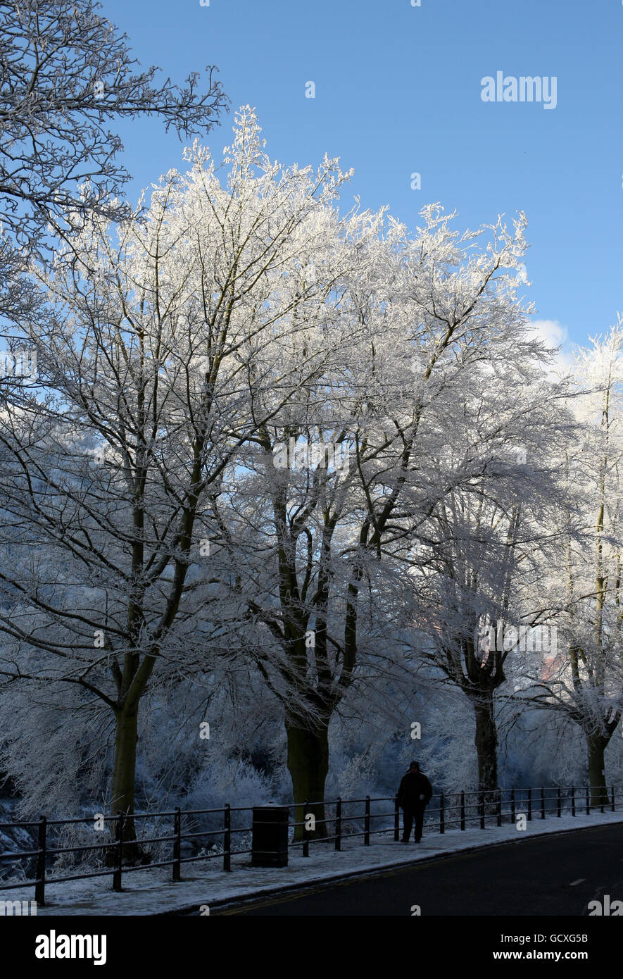Heavy overnight frost on the trees in Ironbridge, Shropshire. Stock Photo