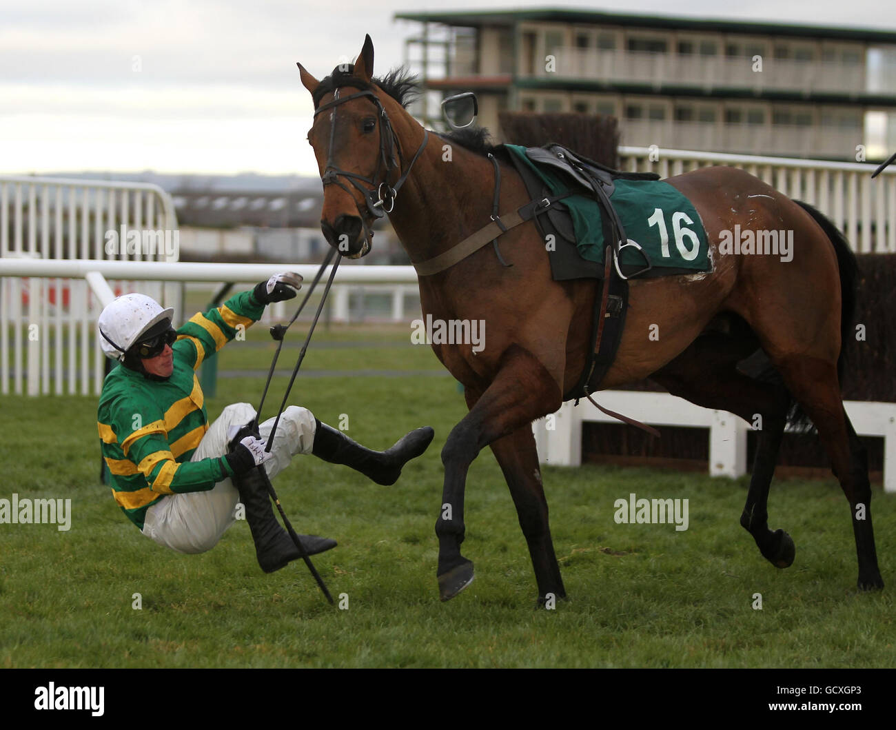 Richie McLernon is a faller on Forty Five in the CF Roberts Electrical Mechanical Services Conditional Jockeys' Handicap Steeple Chase at Cheltenham Racecourse, Cheltenham. Stock Photo