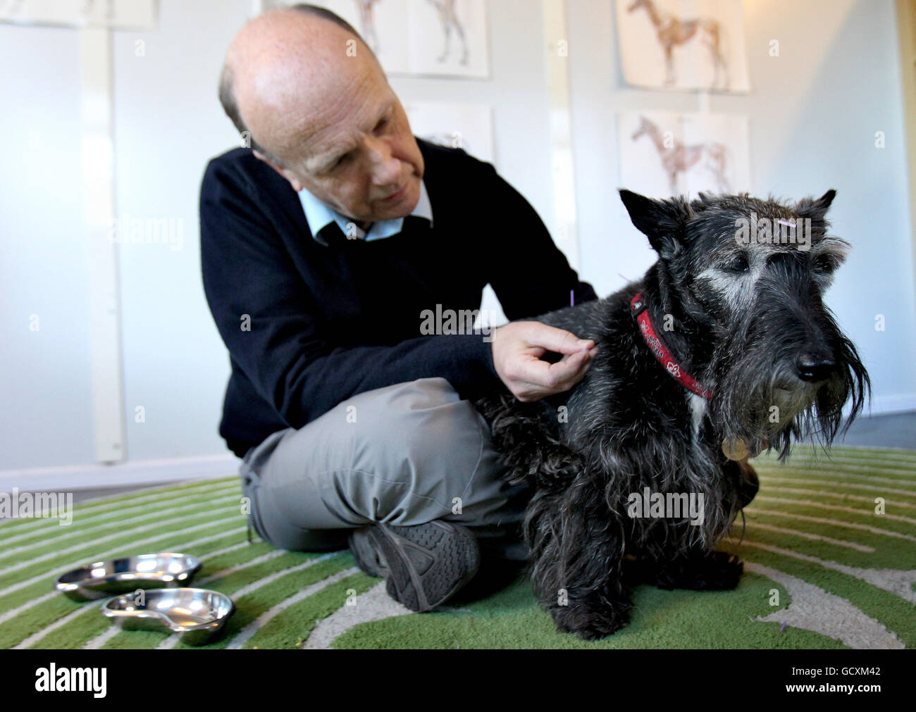 Vet Robert Wallace with Heather the dog after she regained her health