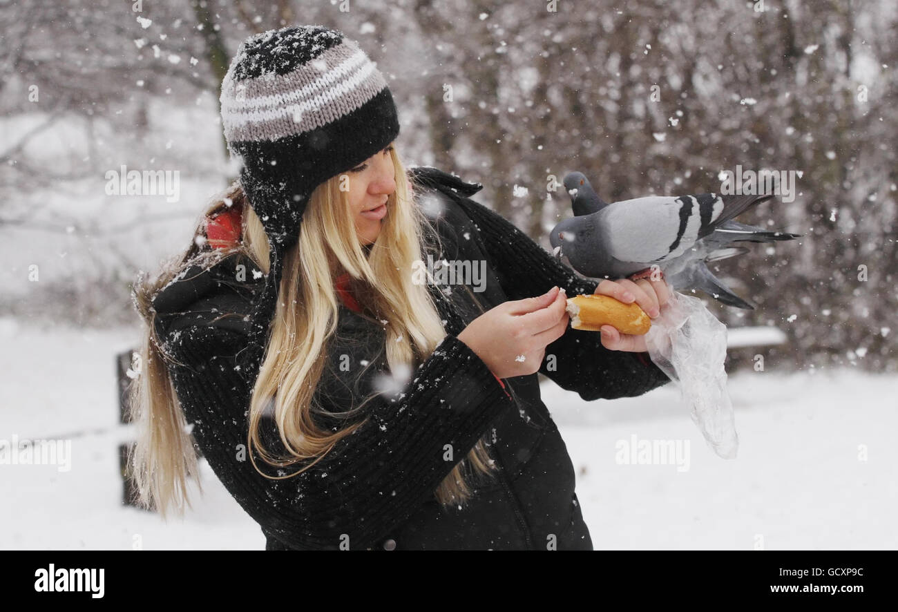 Birute Zukevicius feeds the birds in Holyrood Park in Edinburgh as snow continues to fall across the UK. Stock Photo
