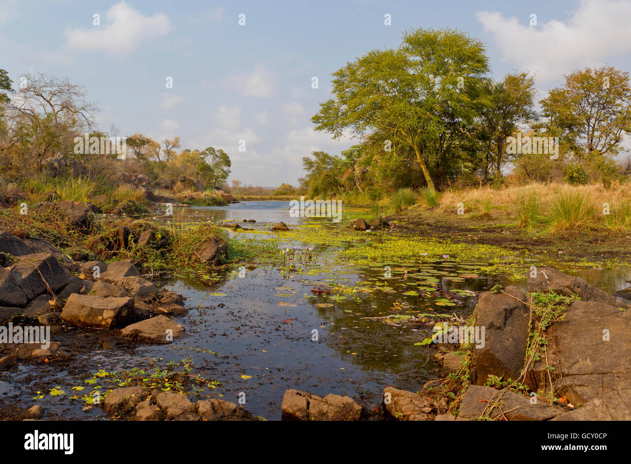 Machampane river in Limpopo National Park, Mozambique, Africa Stock Photo
