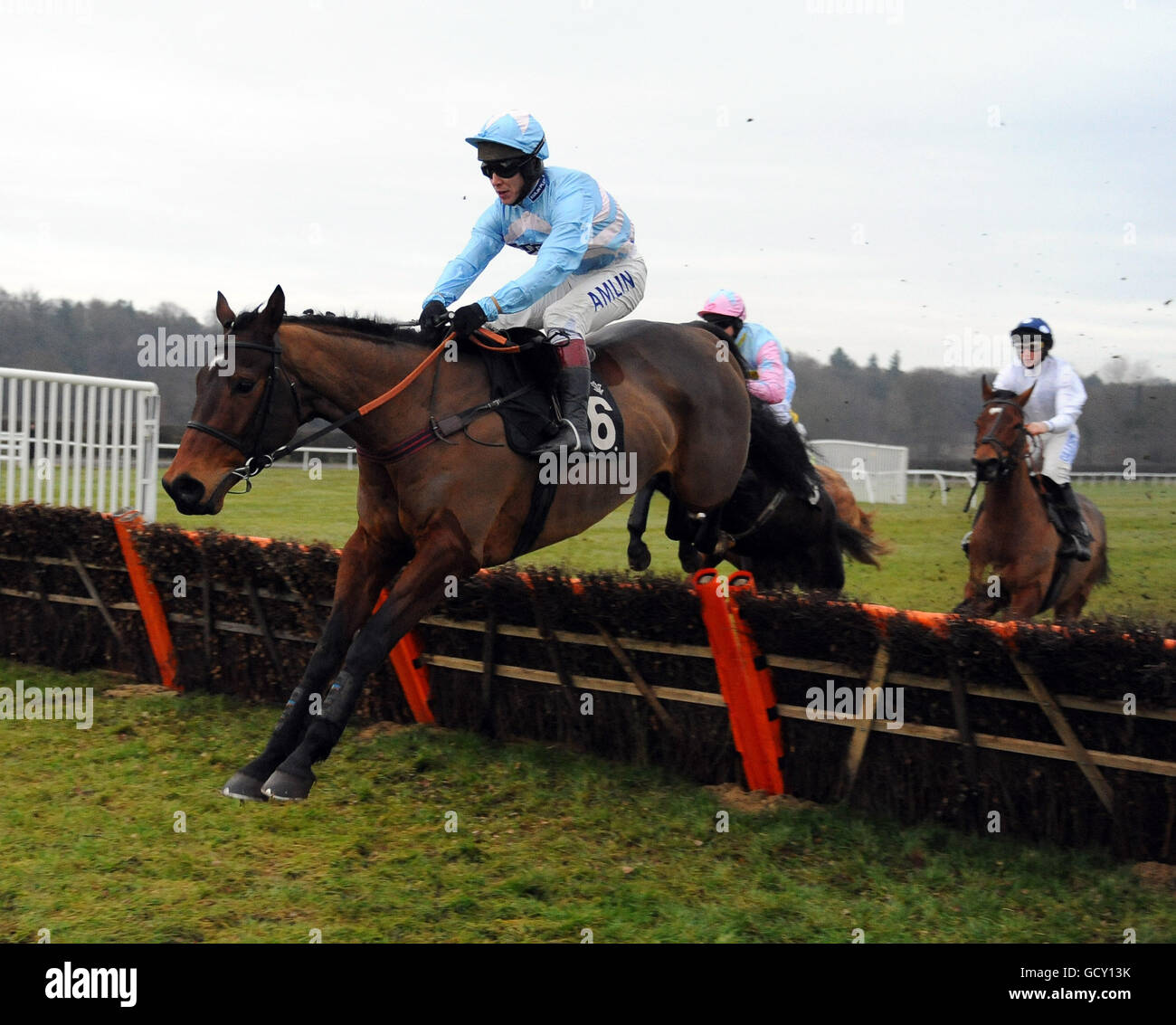 Horse Racing - National Hunt - Lingfield Park Stock Photo - Alamy