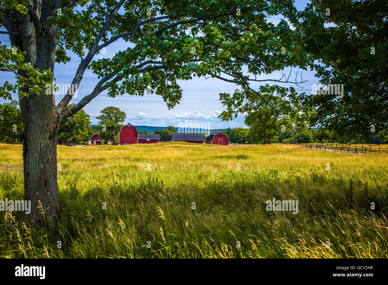 Red barns in Knox Farm State Park in town of East Aurora in Western New York state Stock Photo
