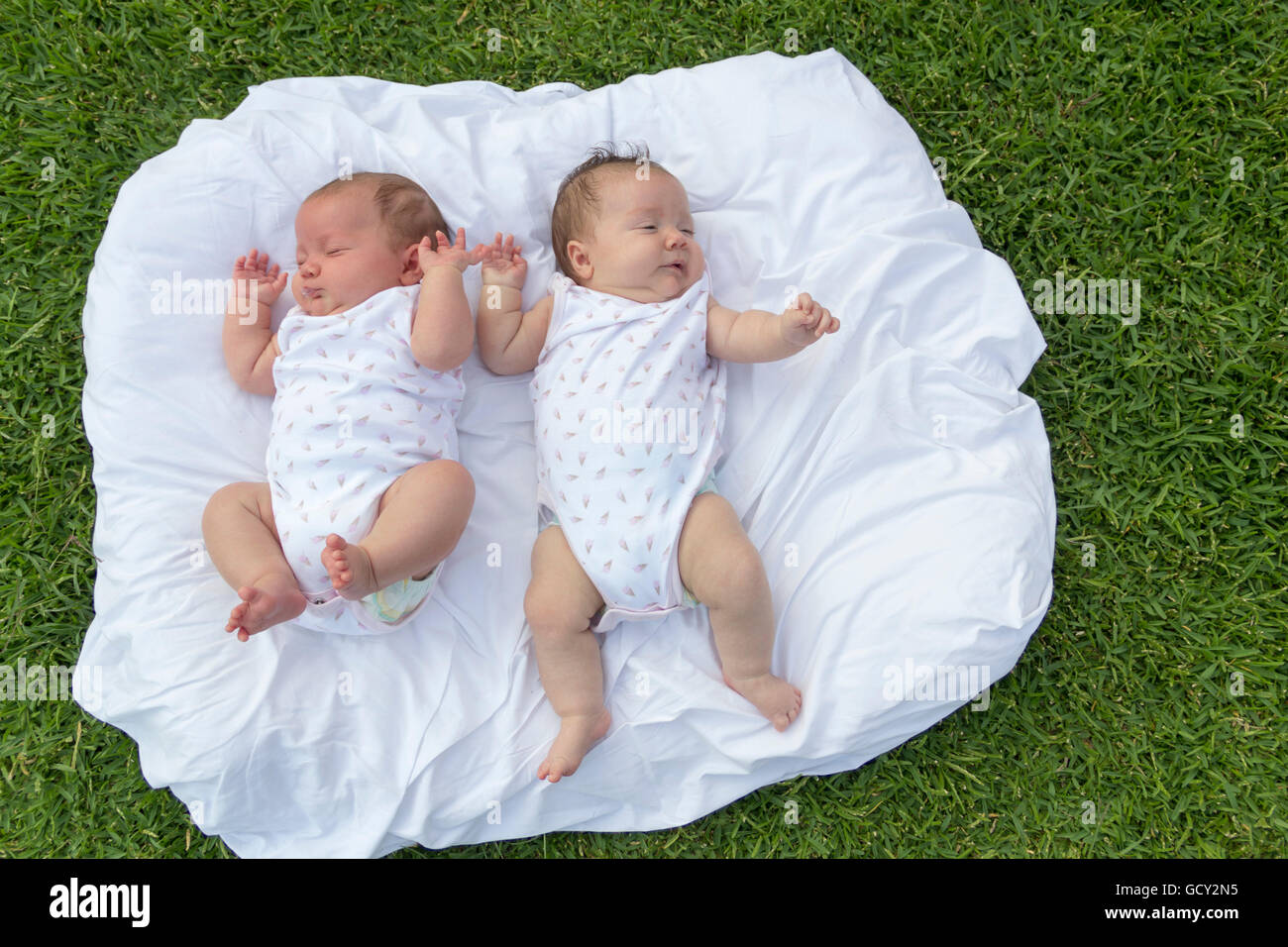 twin babies on the grass in the park Stock Photo
