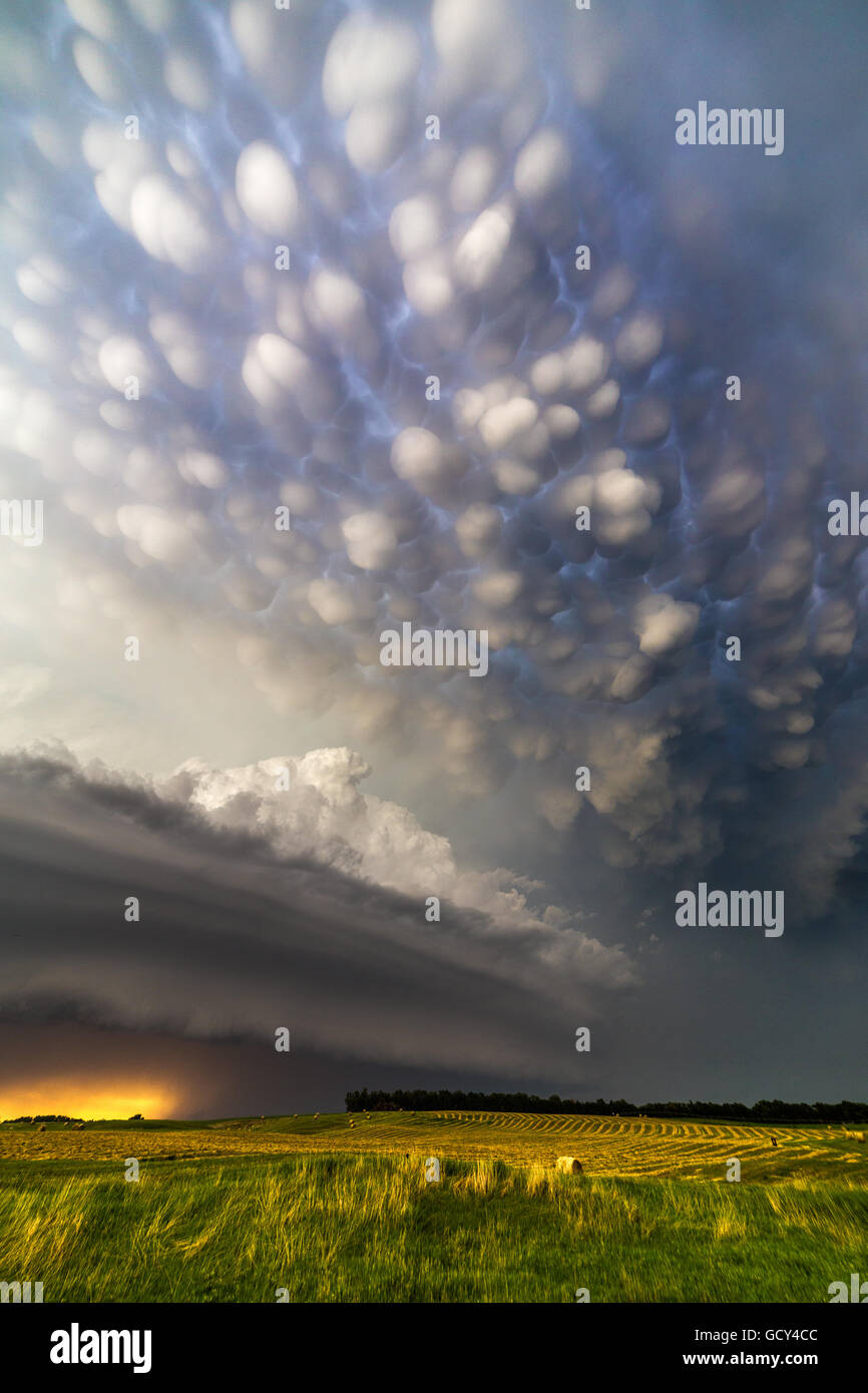 Mammatus clouds above a supercell near Burwell, Nebraska, June 16, 2014. Stock Photo