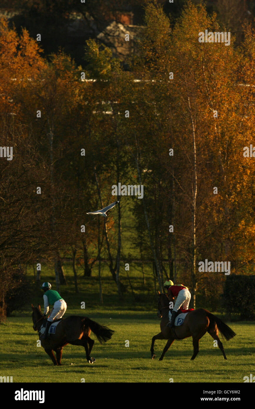 Horse Racing - First November Meeting - Leicester Racecourse Stock Photo