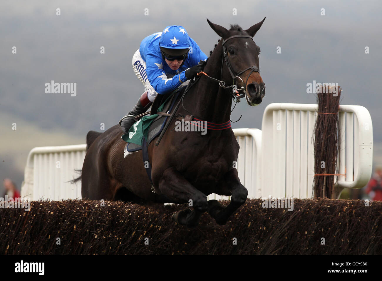 Horse Racing - Cheltenham Racecourse. Jockey Richard Johnson on Quinz jumps during the DRS Contracts Novices' Chase Stock Photo