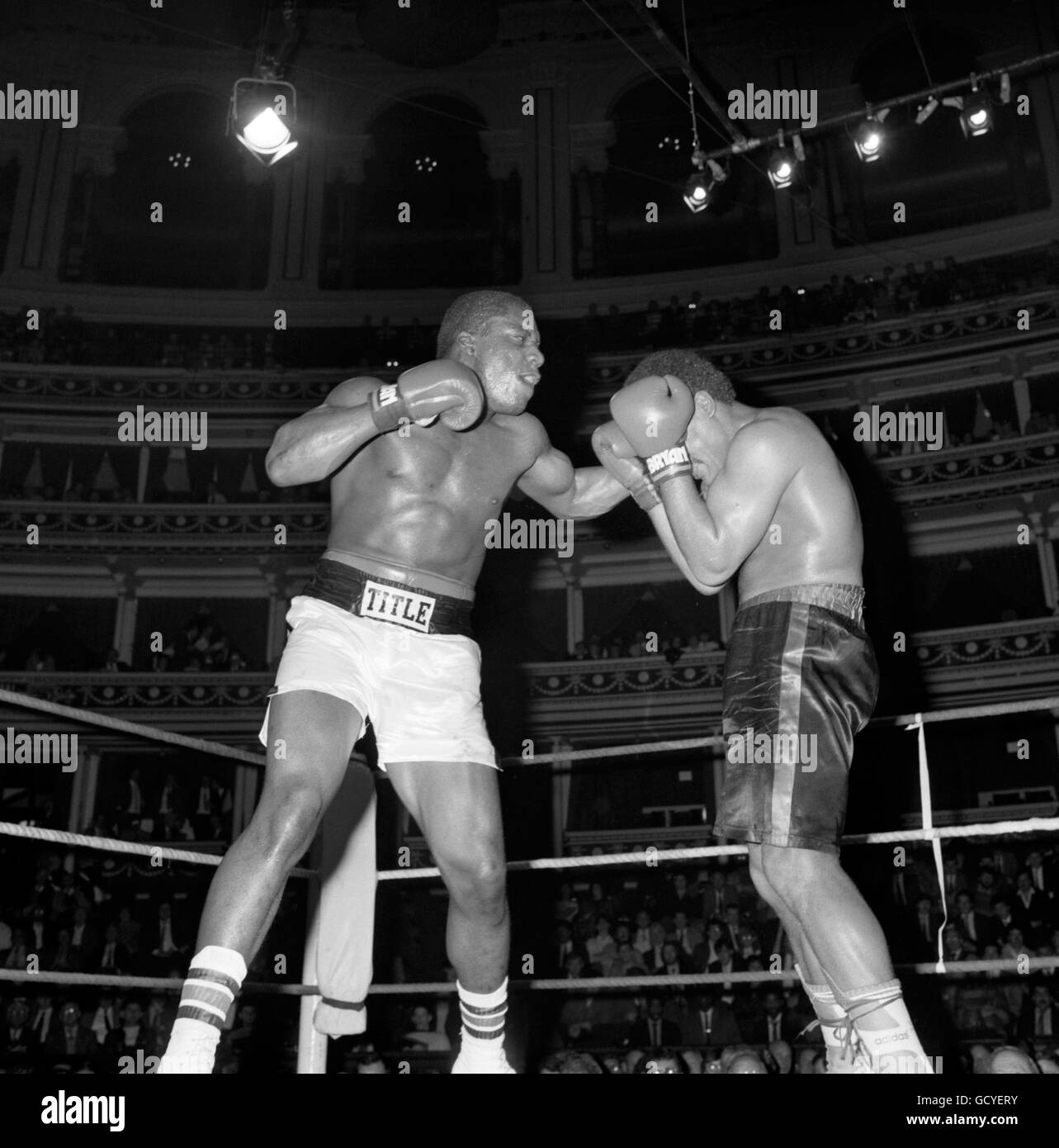 Boxing - Heavyweight - Gary Mason v Steve Gee - Royal Albert Hall, Kensington, London Stock Photo