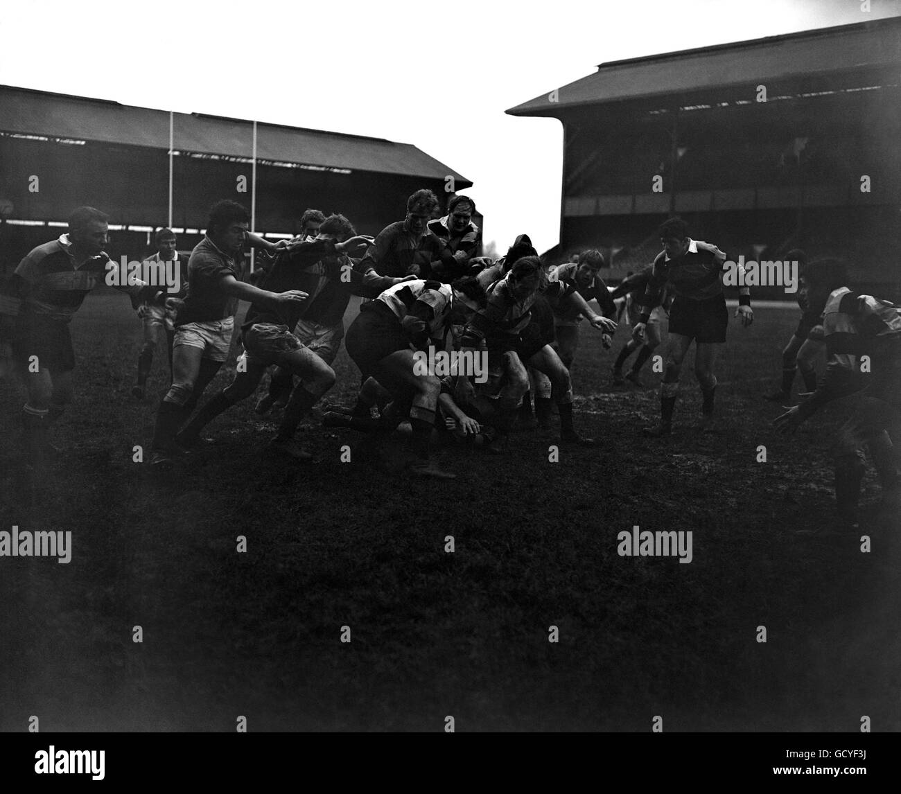 Rugby Union - Harlequins v Cardiff - Twickenham Stock Photo