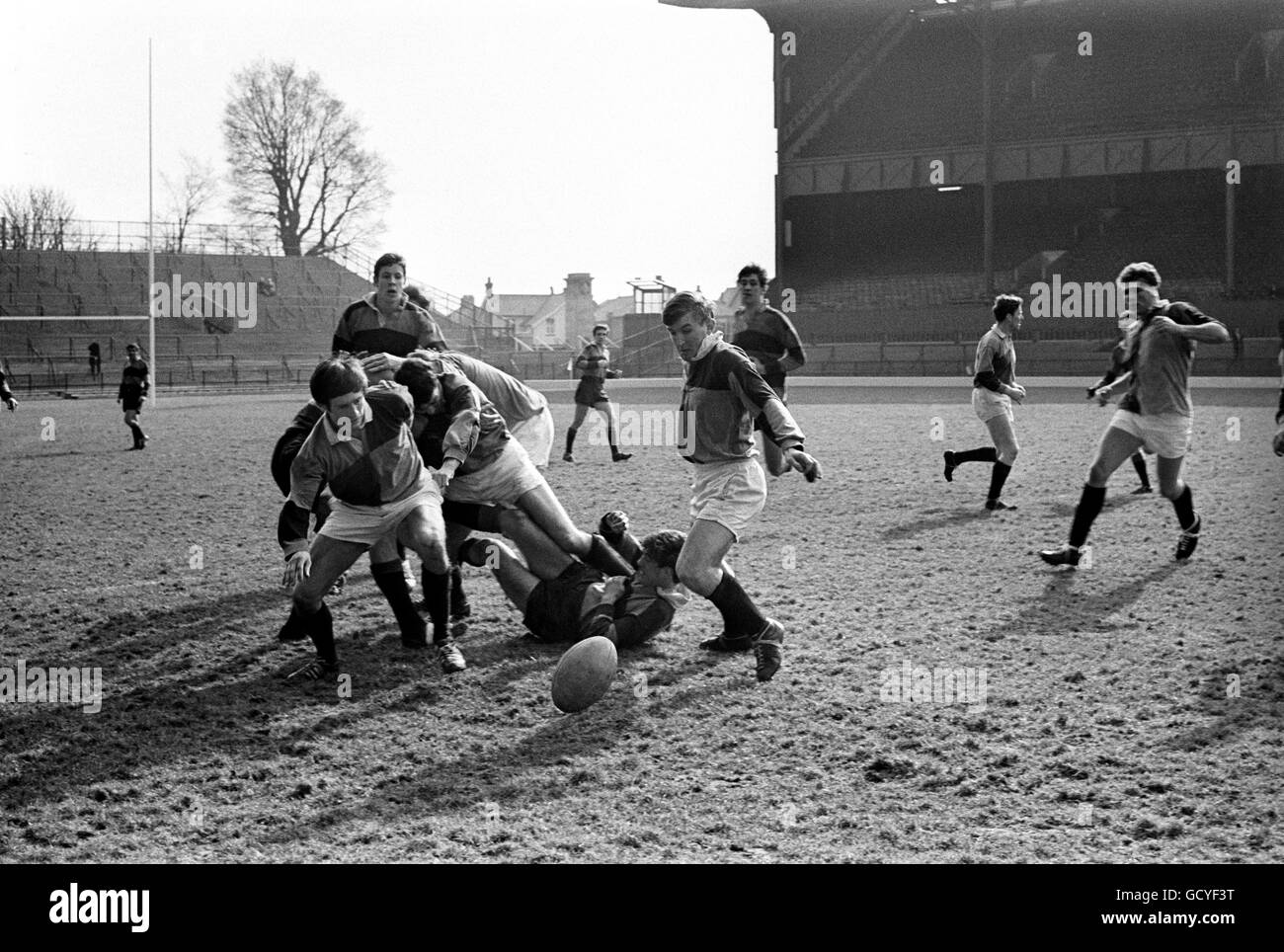 Rugby Union - Harlequins v Bedford - Twickenham Stock Photo