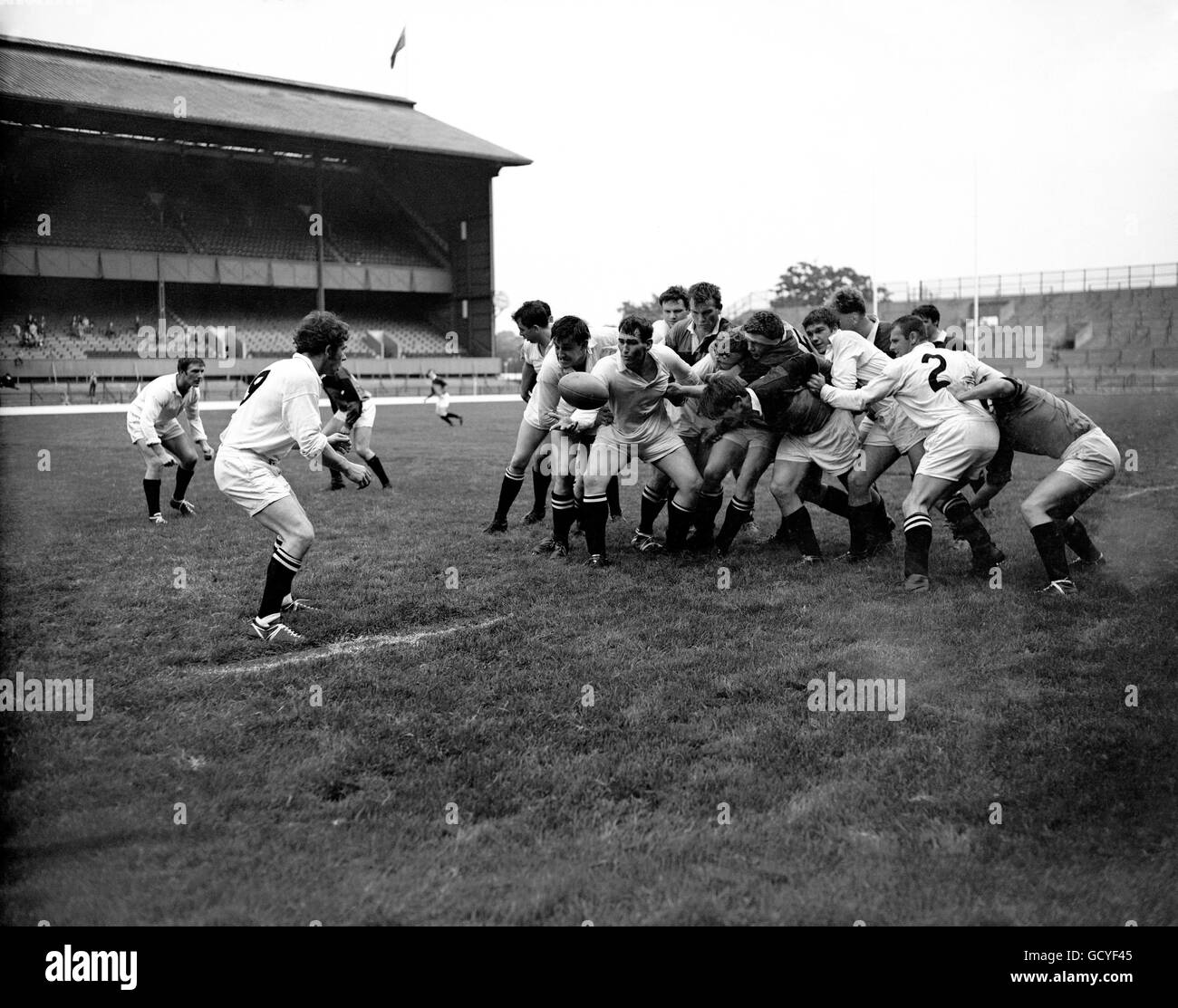 Swansea's R Mainwaring gets the ball back to his scrum-half E Patterson Stock Photo