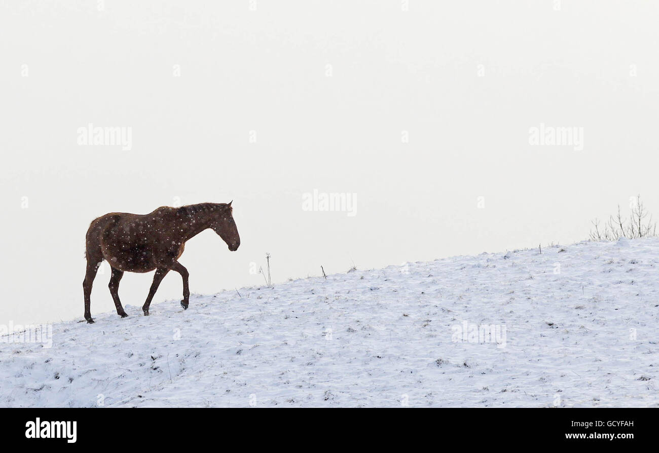 Winter weather Jan 8th Stock Photo - Alamy