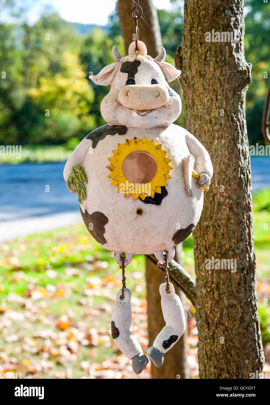 Happy cow hanging from a tree on Herb Hodges farm; Fairlee, Vermont, United States of America Stock Photo