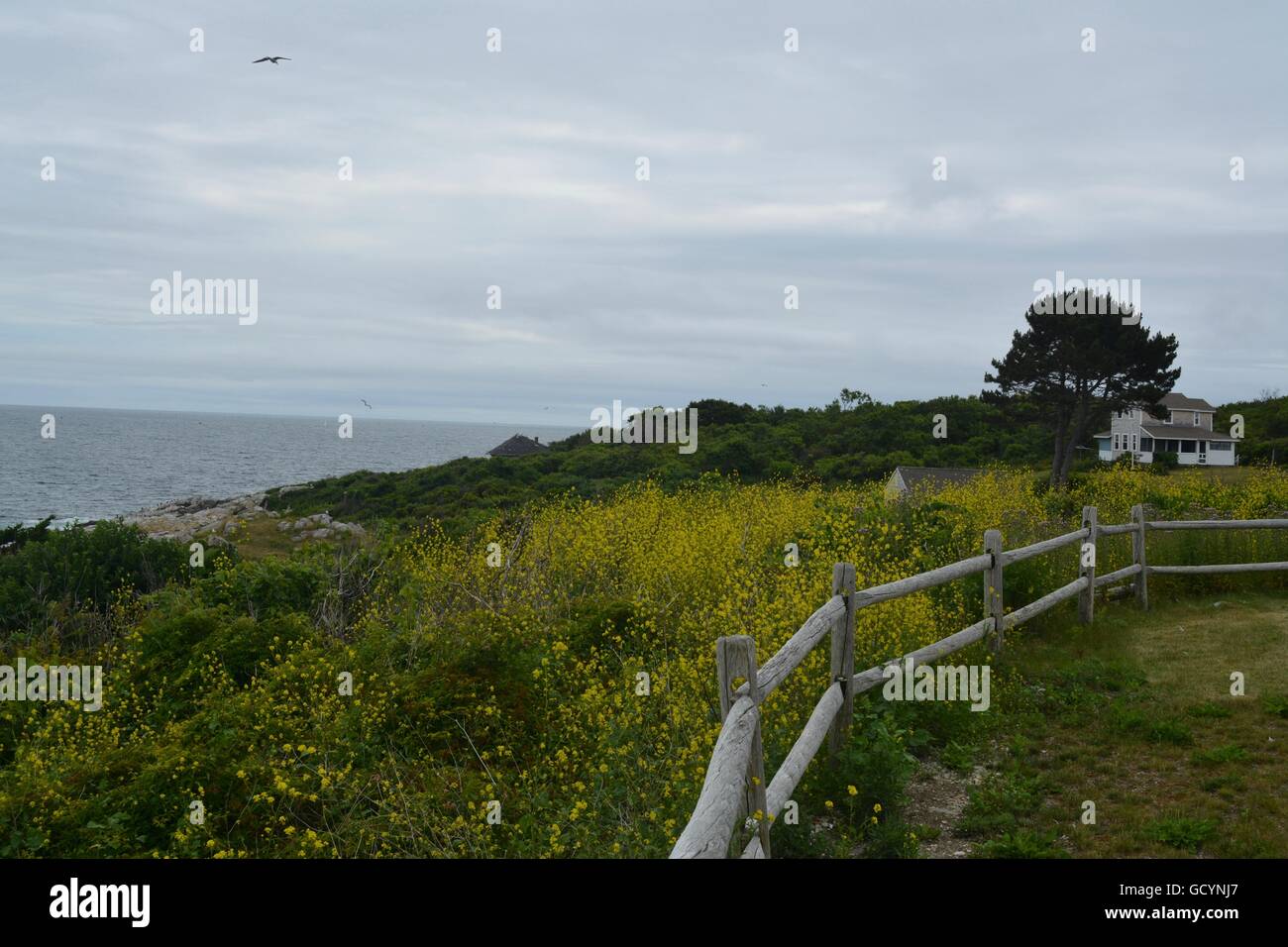 Bakers Island in Salem, Massachusetts, New England, USA Stock Photo Alamy