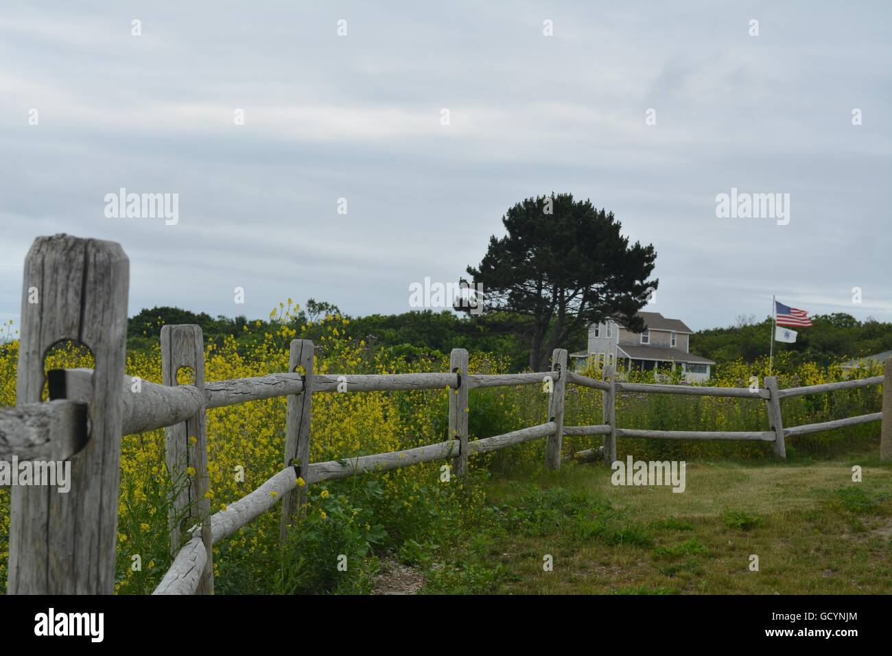 A scenic natural landscape featuring a fence on Bakers Island in Salem