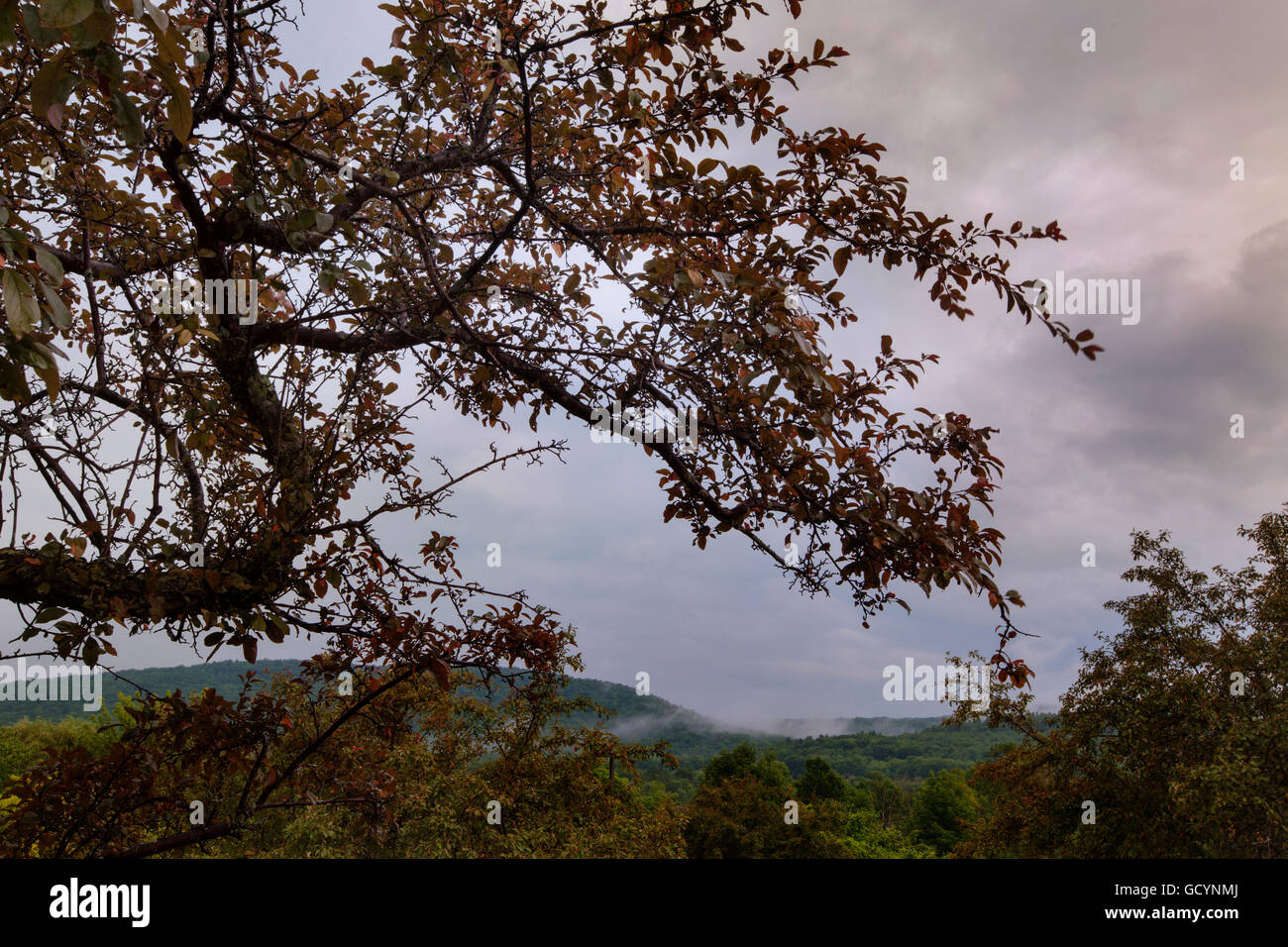An overcast view of the Berkshire Hills in Western Massachusetts Stock