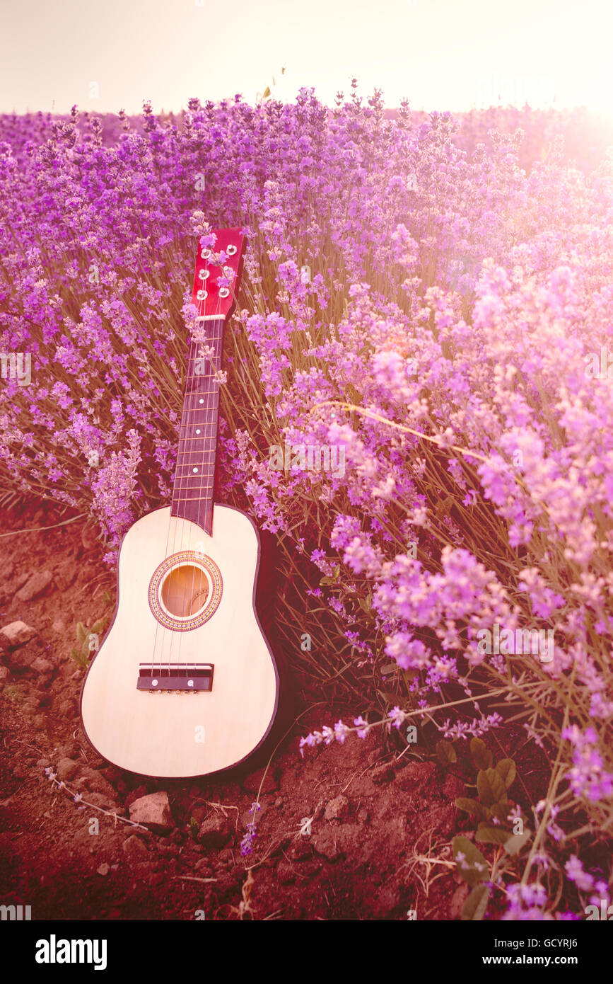 Classic small guitar laid on a lavender field row under the sunrise rays Stock Photo