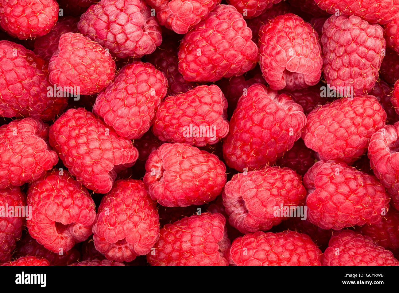 raspberry texture Stock Photo