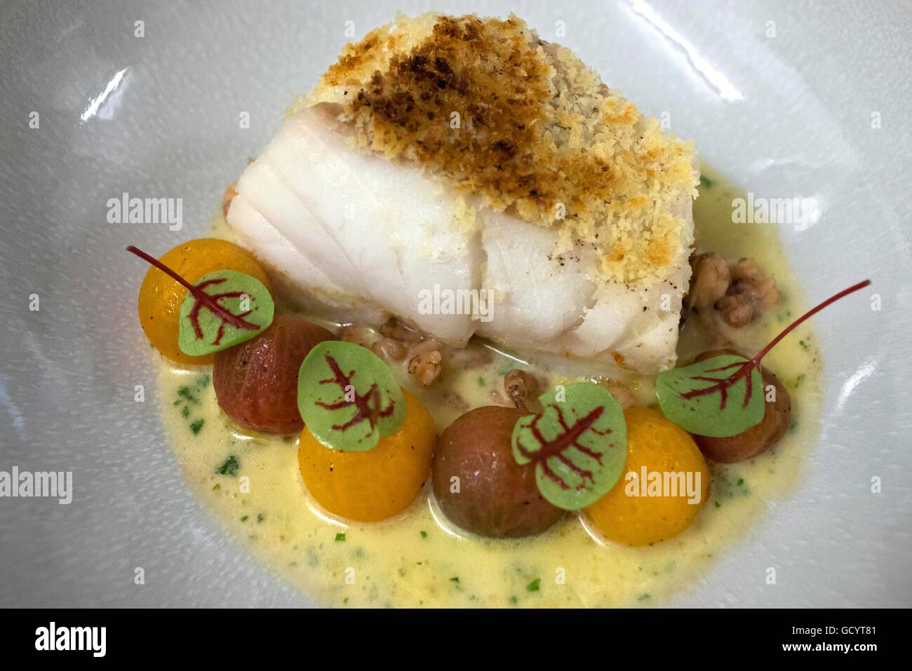 Codfish supreme dugléré dish in Assiette Blanche restaurant in Bruges  (Brugge), Belgium Stock Photo - Alamy