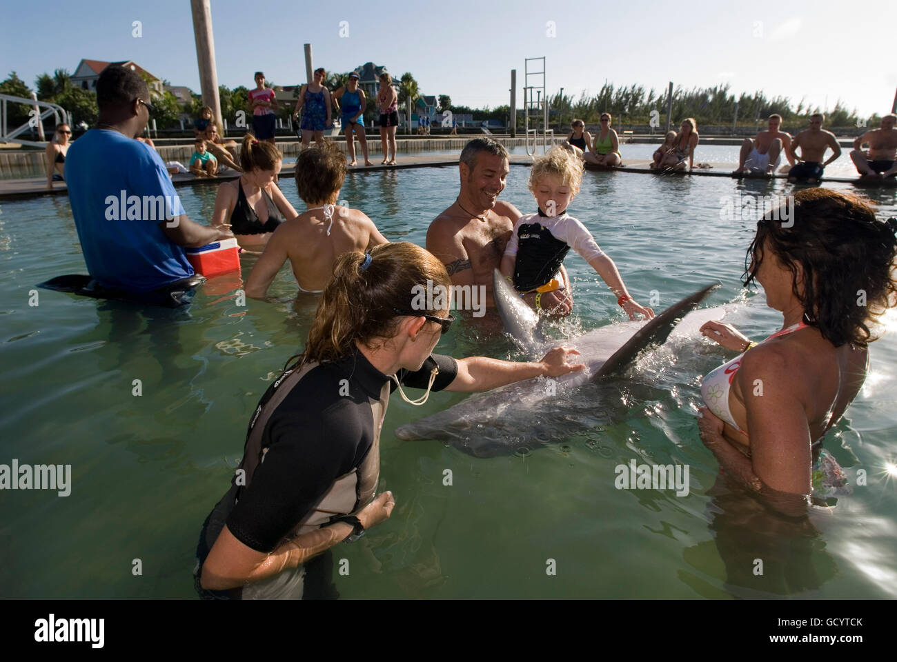 Sanctuary Bay, Grand Bahama. Bahamas. UNEXSO. Program Swim and close encounter with the dolphins. Stock Photo