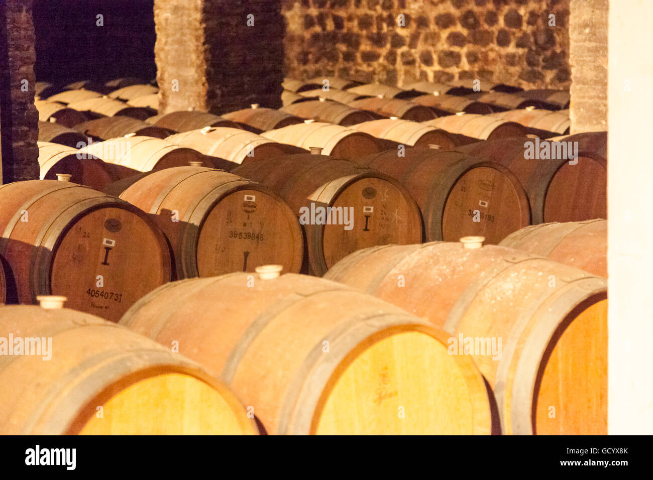 Winery oak barrells in hi-res stock photography and images - Alamy