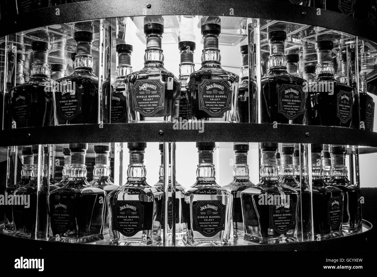 Bottles of Jack Daniel's Single Barrel Select Whiskey in tree shaped display during the tour of the Distillery in Lynchburg, TN, USA, in B & W Stock Photo