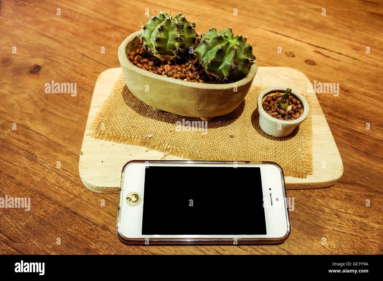 Flat lay shot of mobile phone ,eyeglasses and cactus on wooden background with copy space. Stock Photo