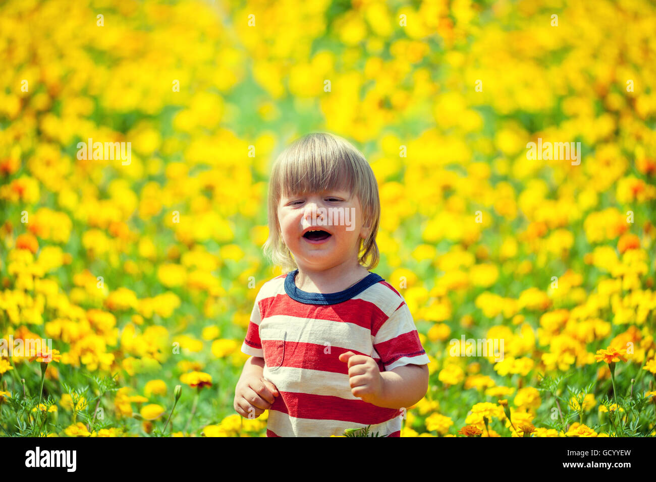 Little boy walking on the flowers lawn Stock Photo - Alamy