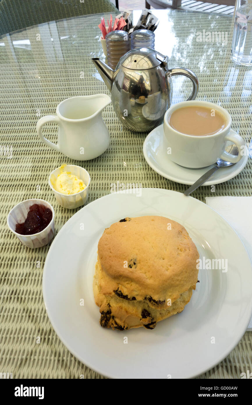Cream tea with scone on plate jam and cream pot of tea milk and cup and saucer teaspoon Stock Photo