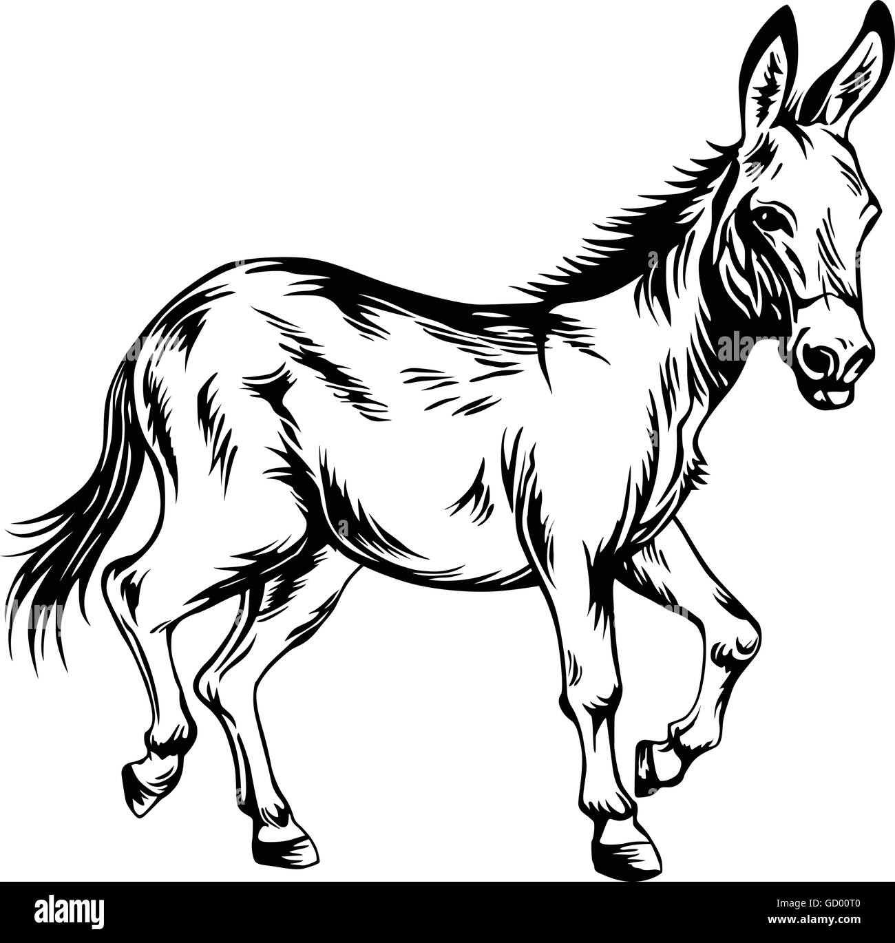 Black And White Donkey Clipart For Creative Projects